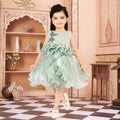 Soulshine Girls' Designer Party Wear